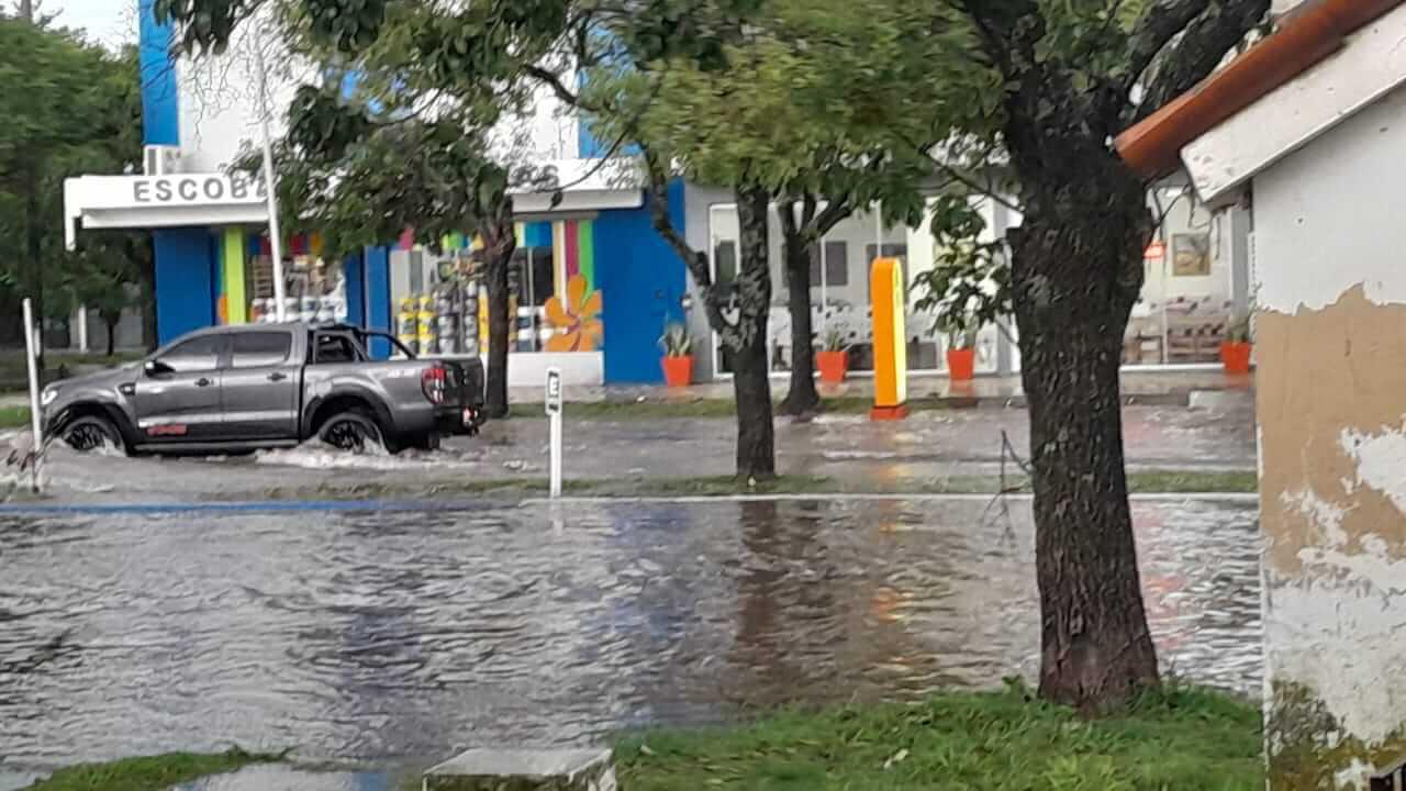 multimedia.normal.93193386a149d32f.bGx1dmlhLWNlcmVzLWFicmlsX25vcm1hbC5qcGc=