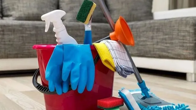 empleadas-domesticasjpg