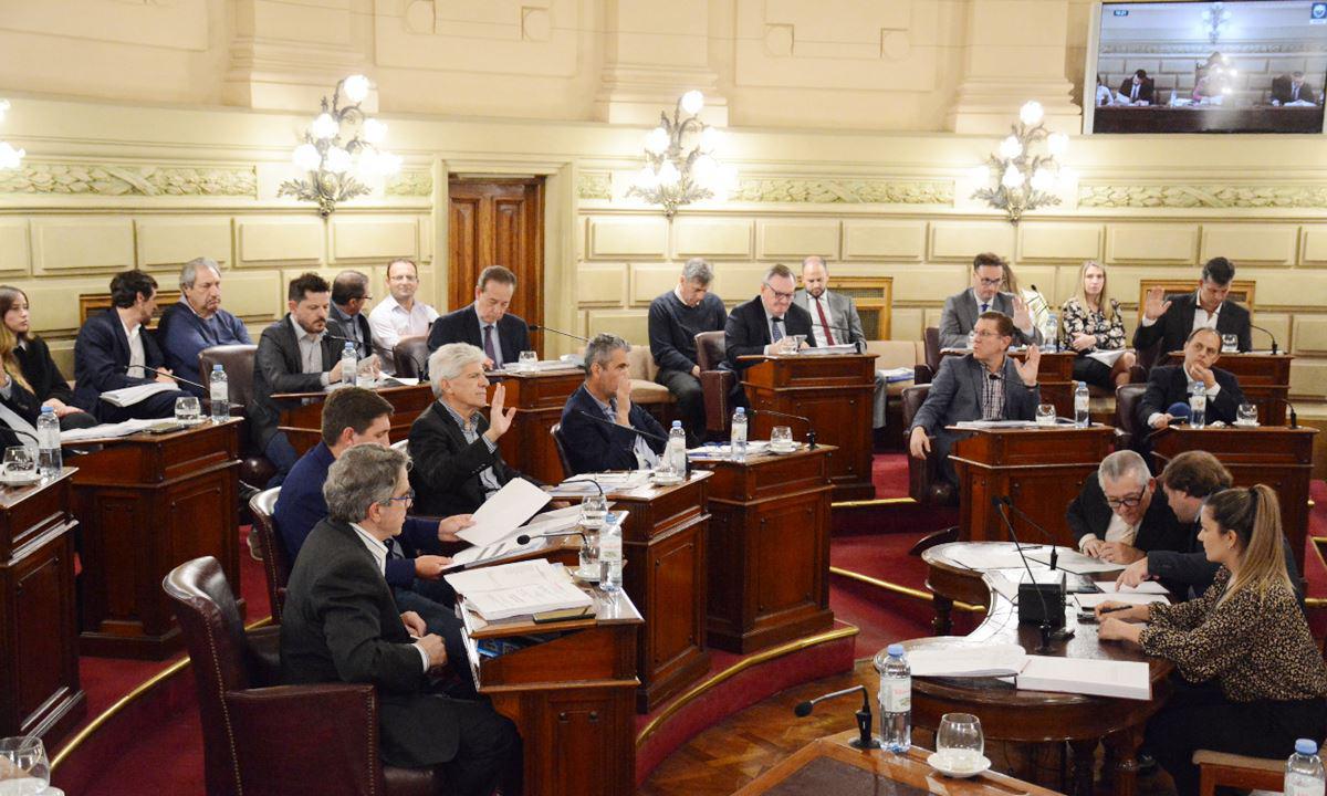 sesion-senado