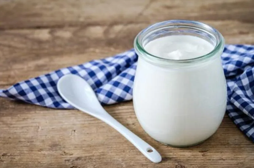 yogur-lacteos-828x548