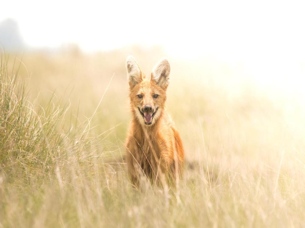 multimedia.normal.a71b4a01b1b10459.YTNfbm9ybWFsLmpwZw==