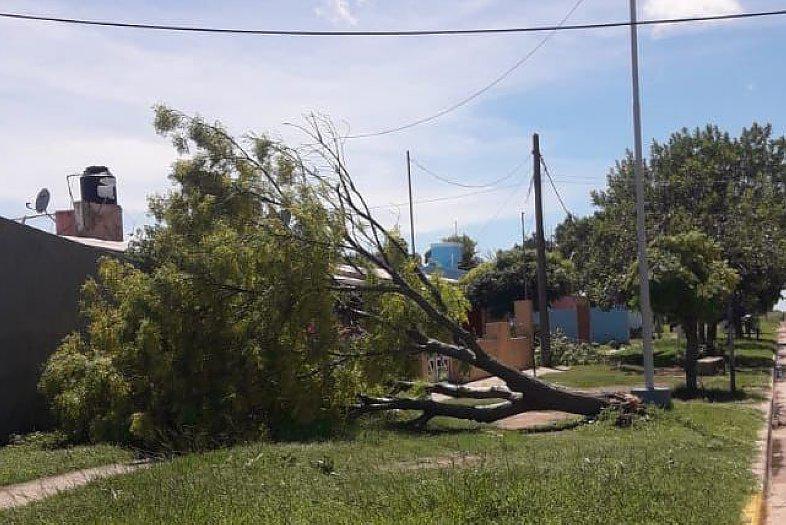 23166-tormenta-ambrosetti