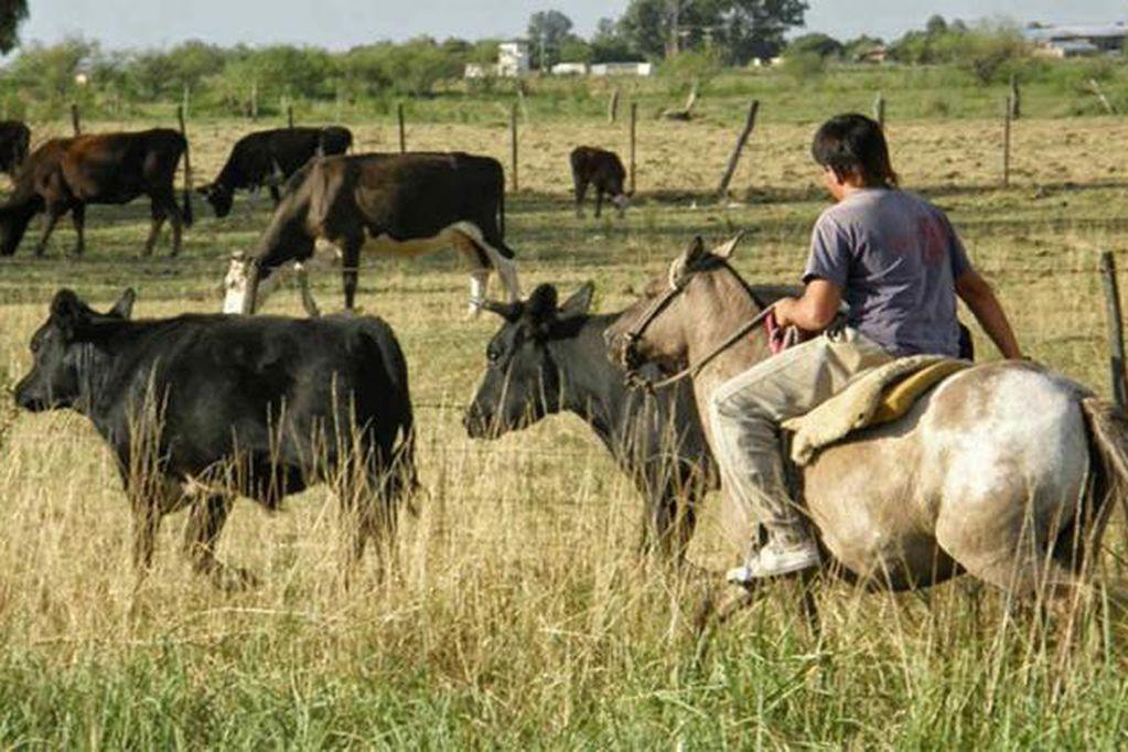 TRABAJO-RURAL