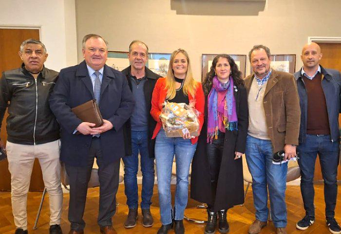 24491-michlig-fiesta