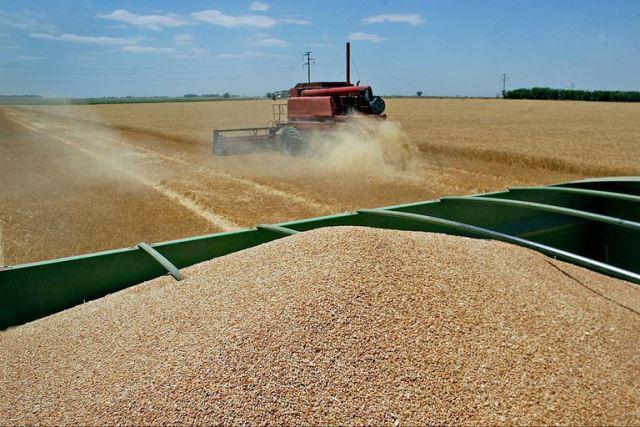 CAMPO-AGROEXPORTACION