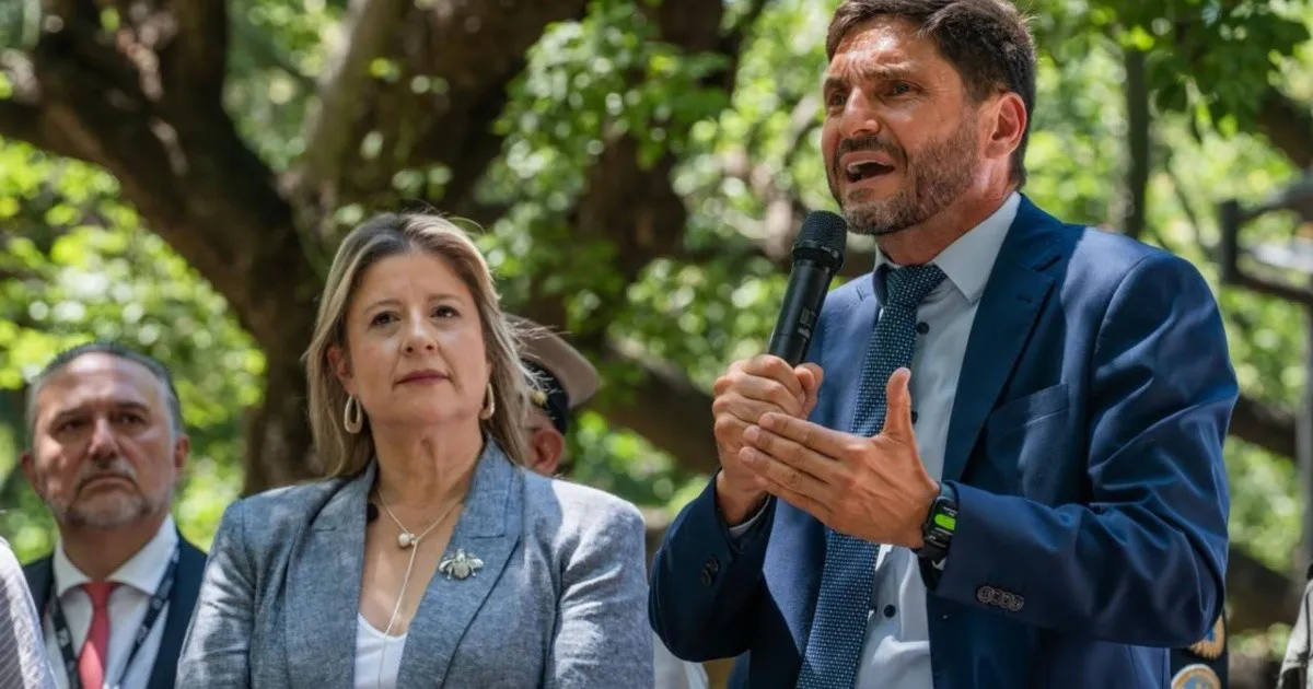 pullaro plan bandera