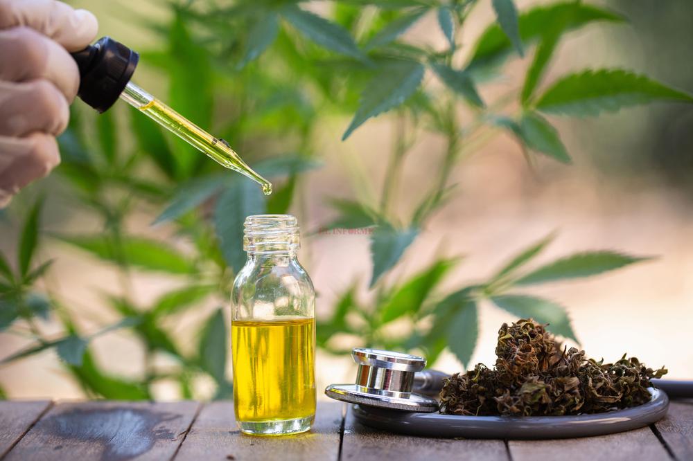 cannabis