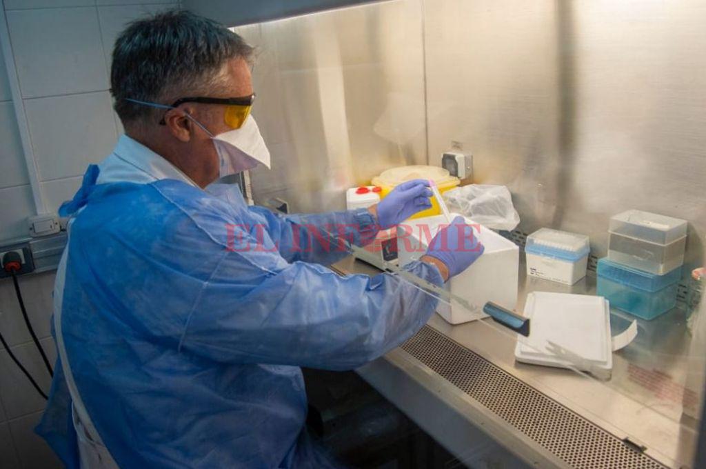 Coronavirus-2 (2)