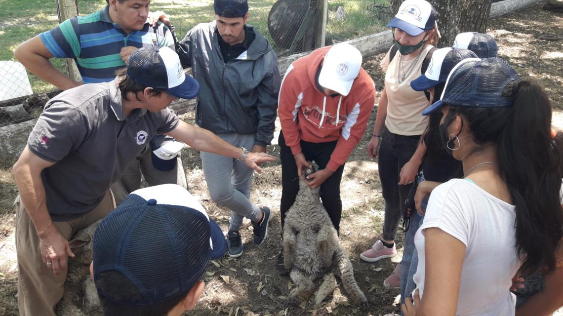 CAPACITACION AGROPE