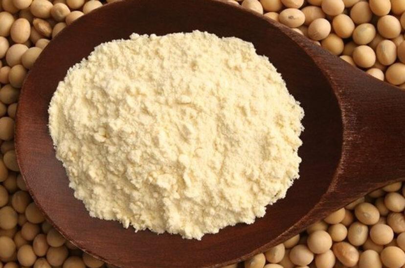 harina-de-soja-deforestacion-828x548