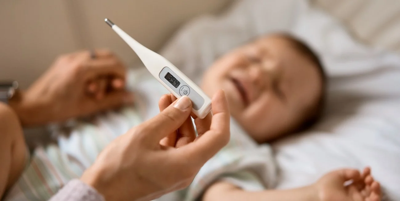 multimedia.normal.82e66048b072f6f5.bm9ybWFsLndlYnA=