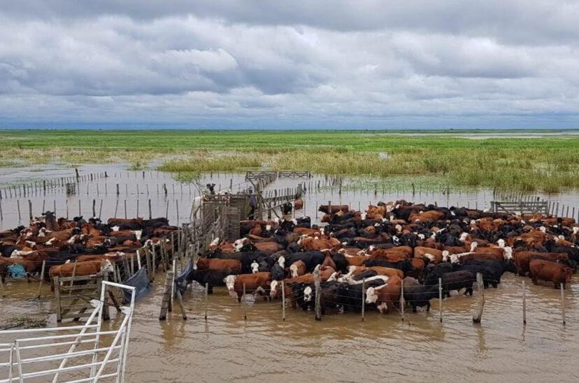 crecida-del-Parana-828x548