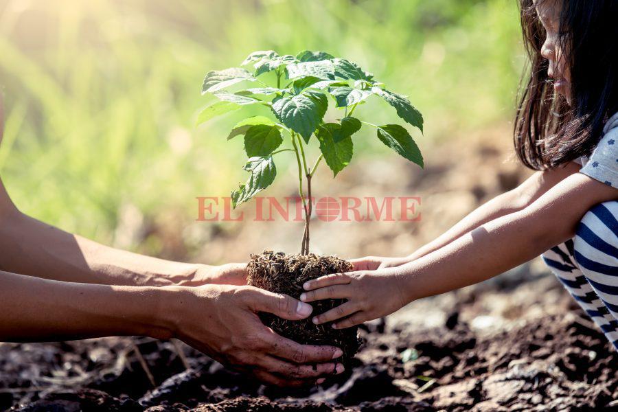GettyImages-985227742-e1564388516681