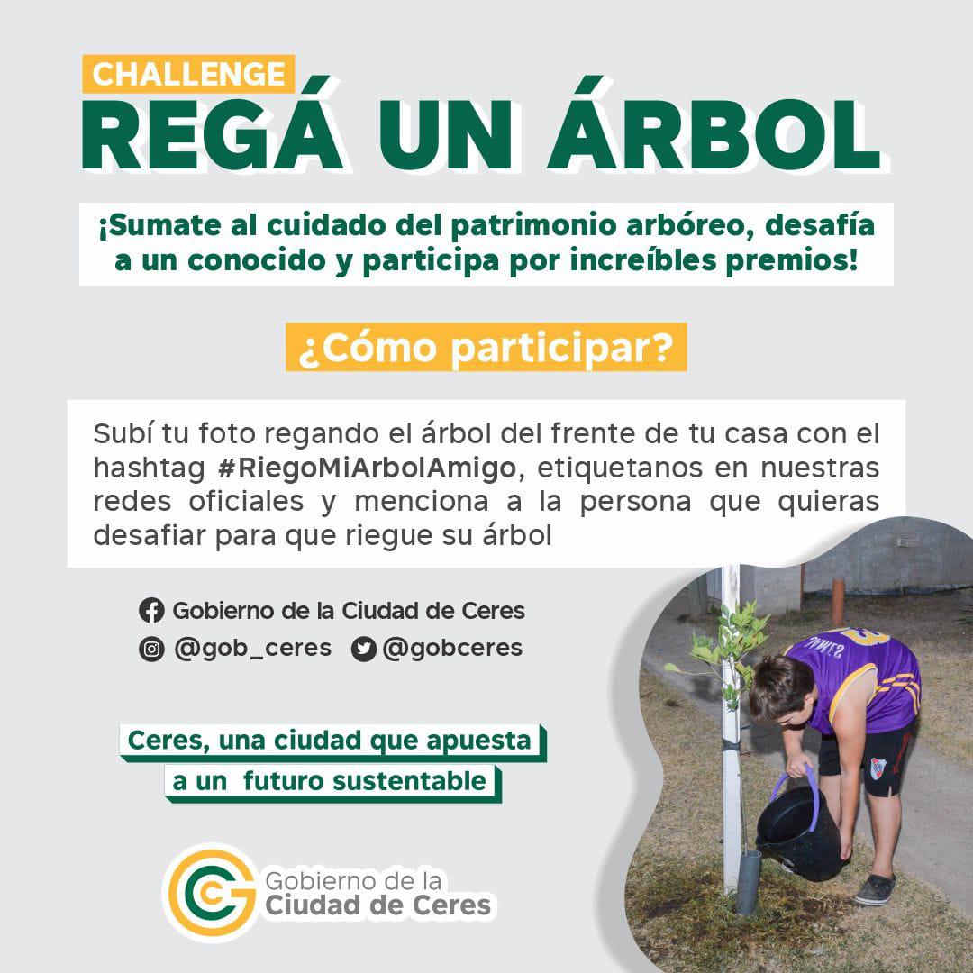 riego mi arbol