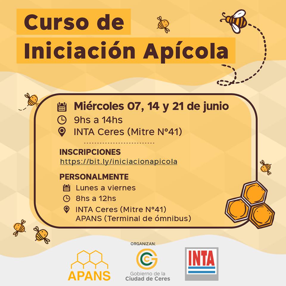 curso-apicola