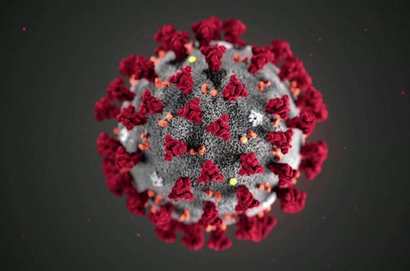 200130165125-corona-virus-cdc-image-super-169-828x548
