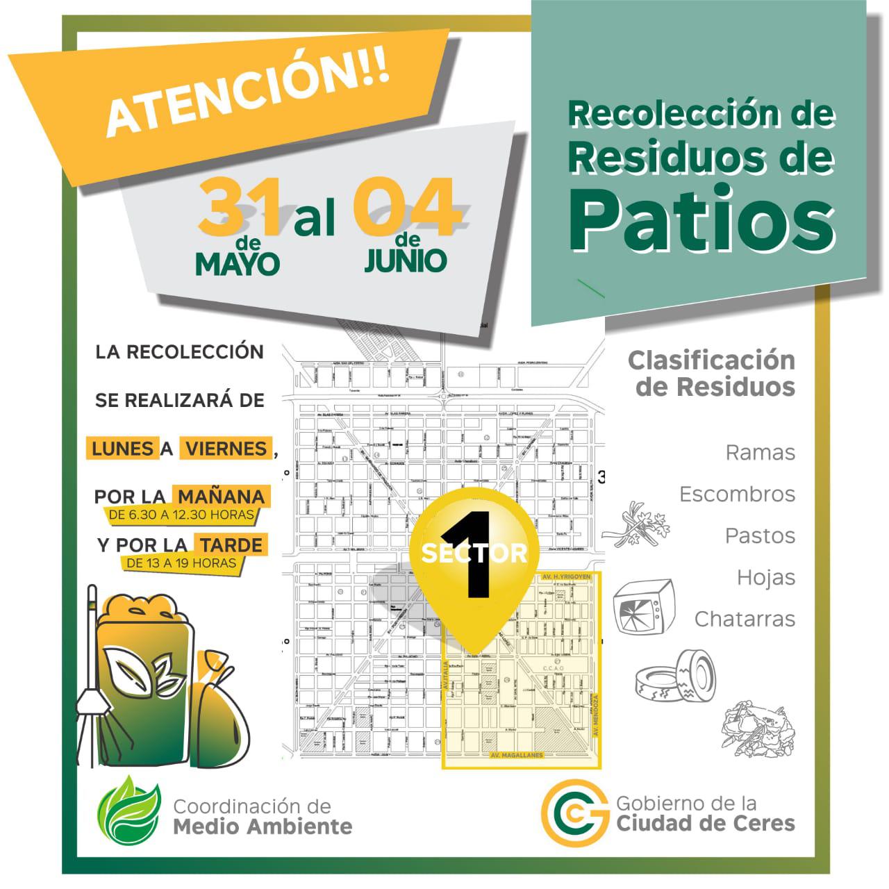 RECOLECCION SECCION 1