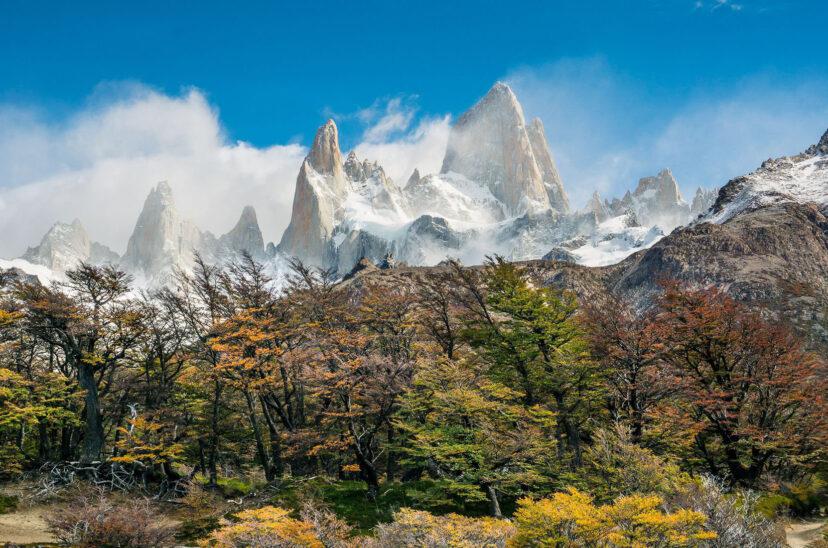 patagonia-naturaleza-828x548