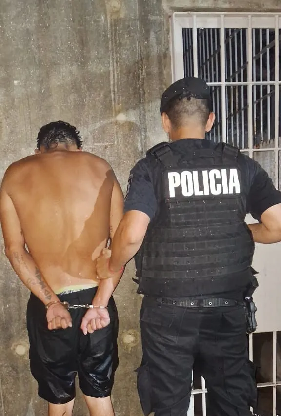 multimedia.normal.a664c825183e3fd7.NWY5ZWM4MzAtNTVlNC00ZjliLTlhODctMDk3Y2ViZmNfbm9ybWFsLndlYnA=