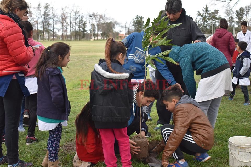 69177762_2325654094149078_299795078107365376_n