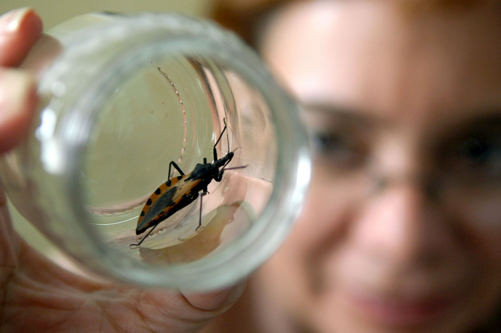 chagas