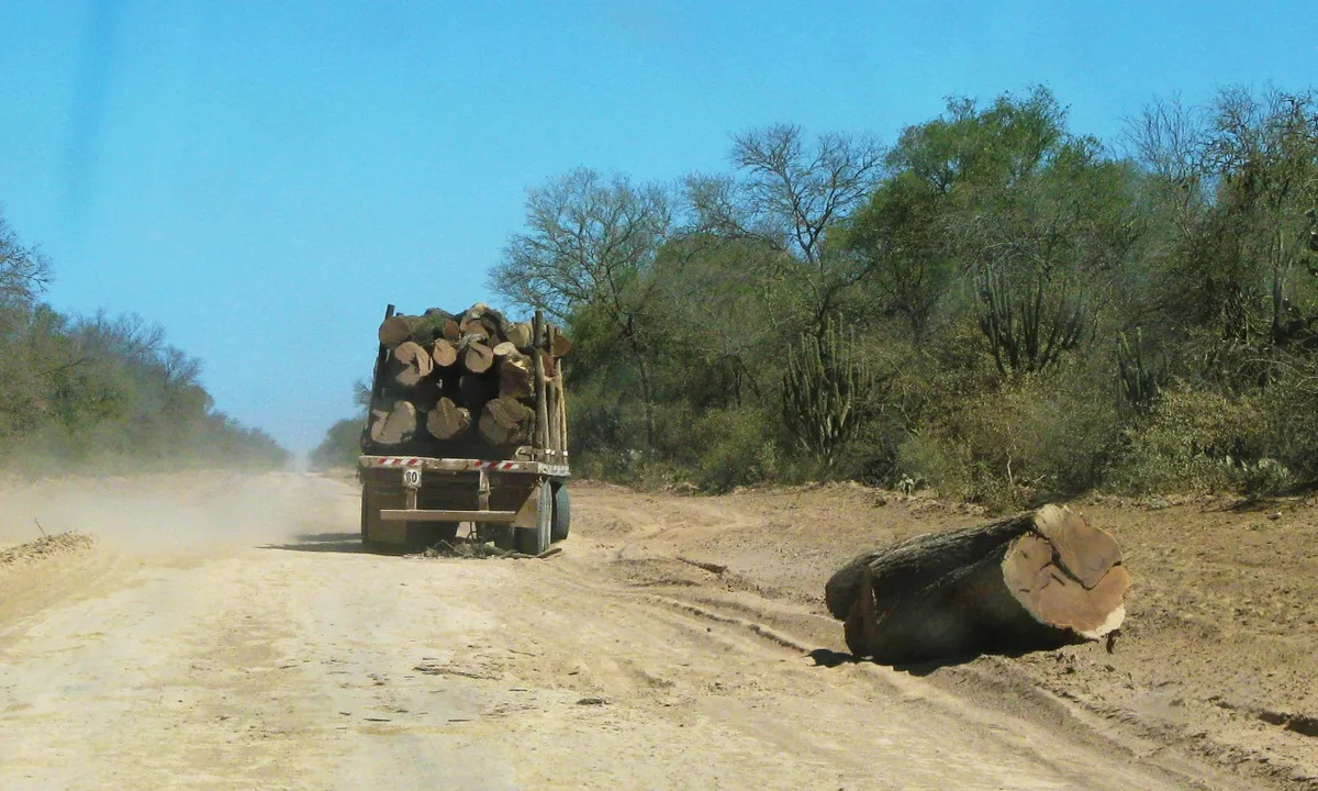 gran-chaco-deforestacion-argentina-14jpeg