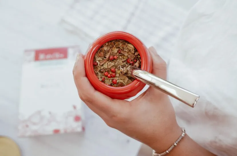 yerba-mate-mate-co-828x548