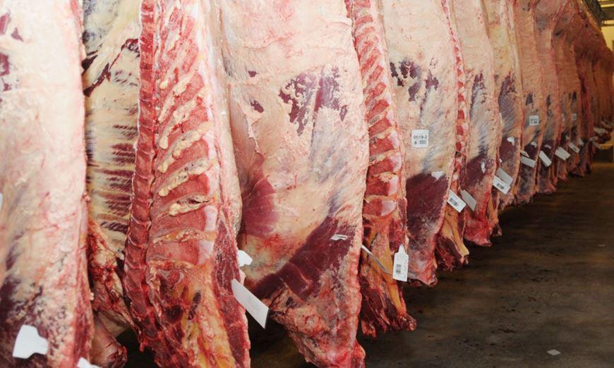 carne (2)