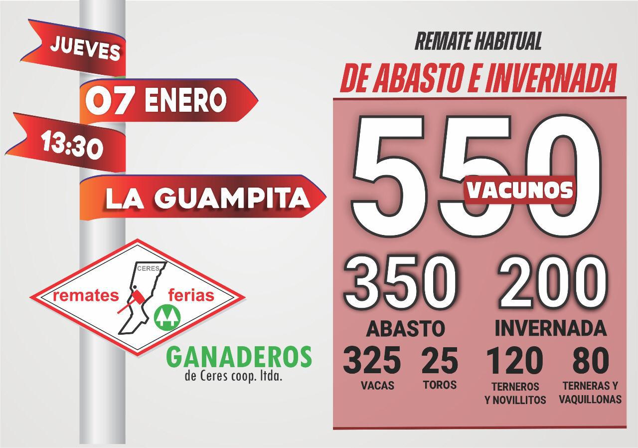 WhatsApp Image 2021-01-06 at 12.01.13