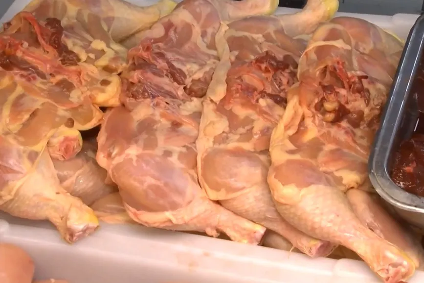POLLO