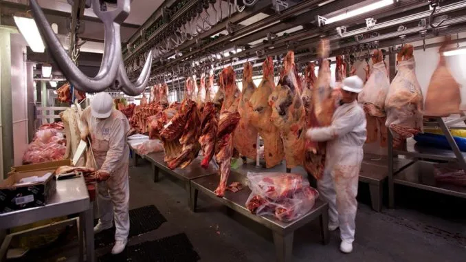 frigorifico-carne