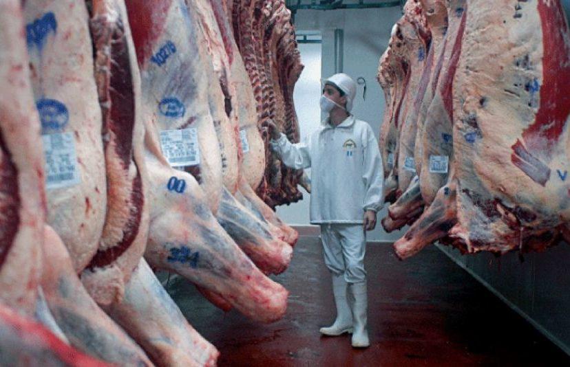 frigorifico-de-carne-vacuna-1123709-828x534