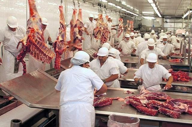 SM-carne-frigorifico-21082020