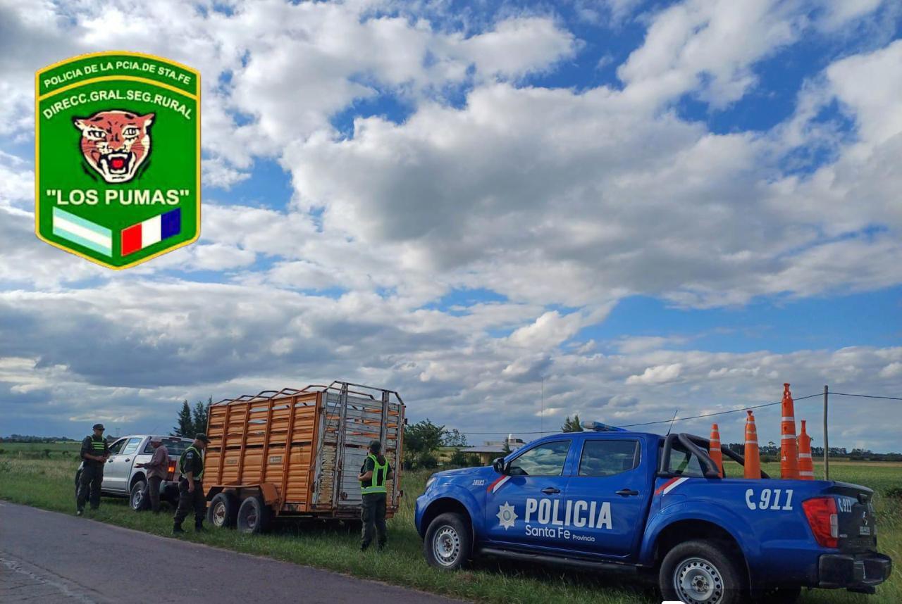 432987707_934425392022150_1037124039780827993_n