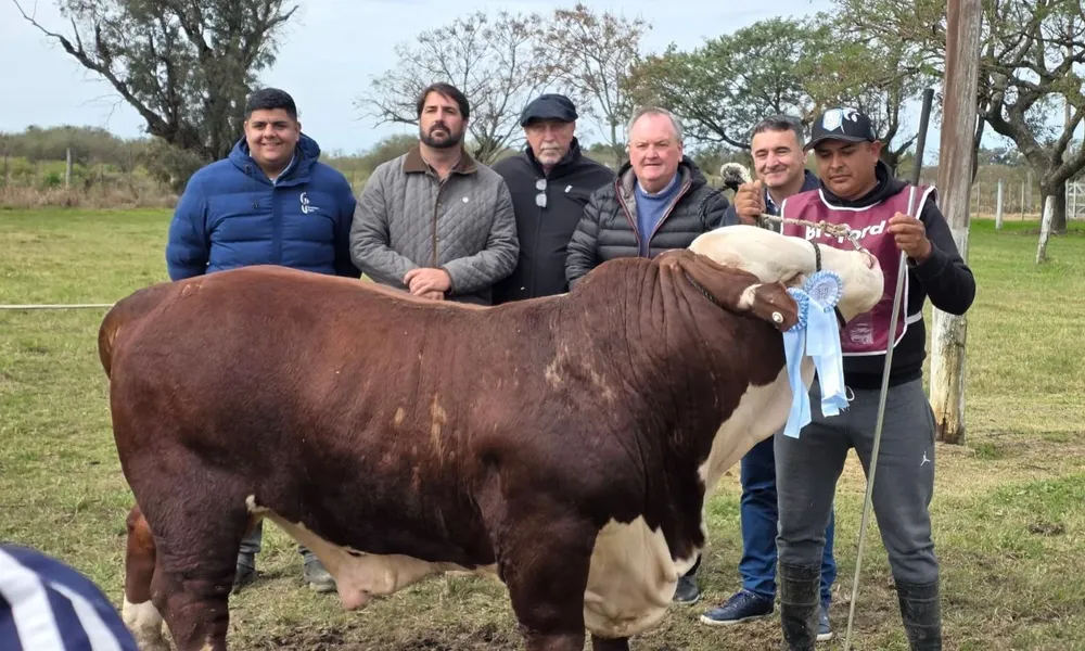 expo agro michlig