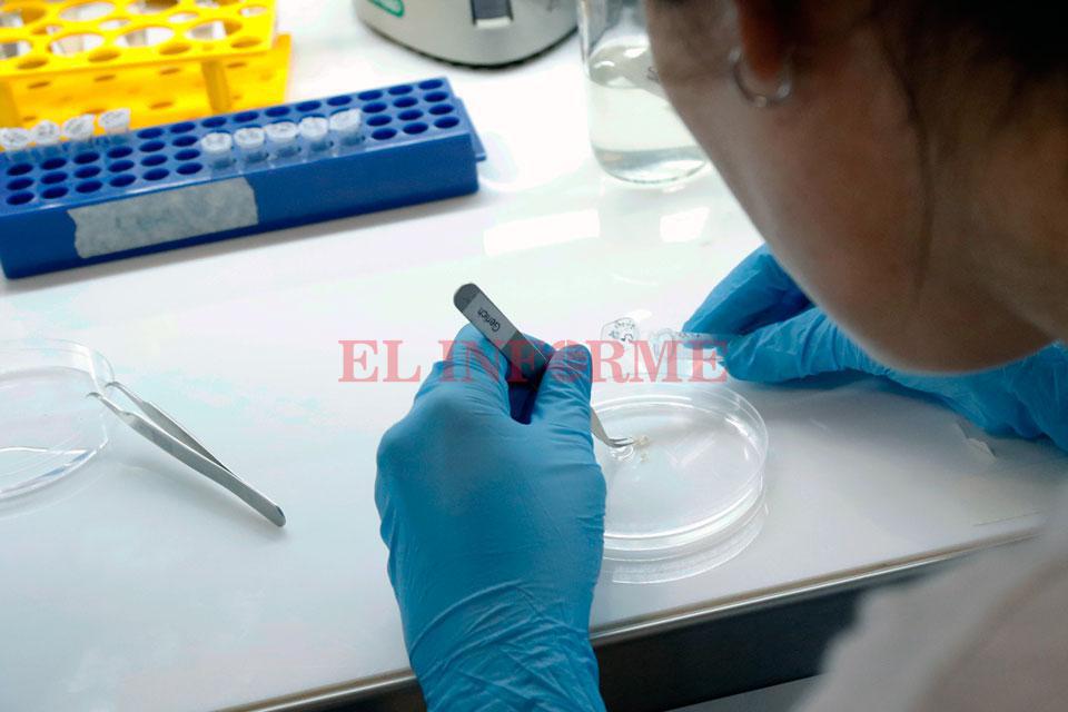 nuevo-coronavirus-covid-19