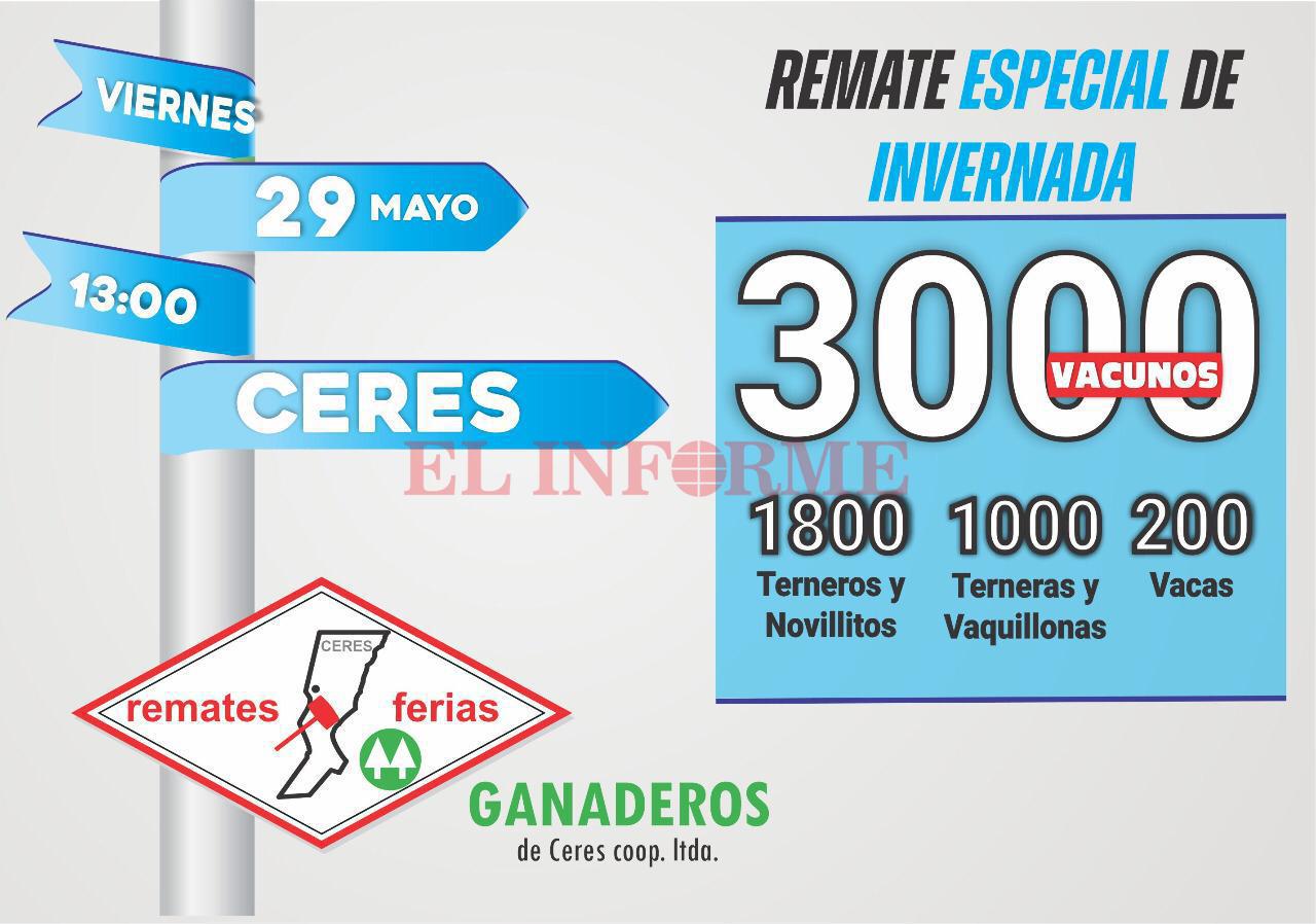 WhatsApp Image 2020-05-22 at 11.19.50