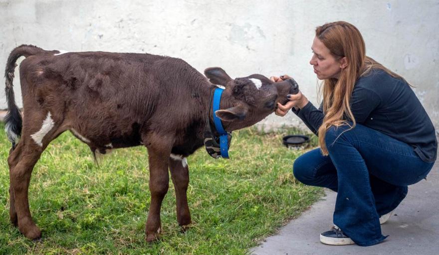 20231214092533_mardel