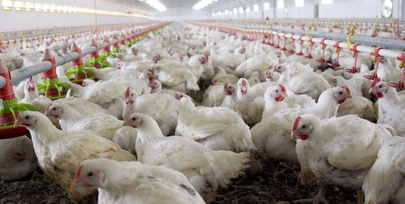 WcZvIrE7B_1300x655__1