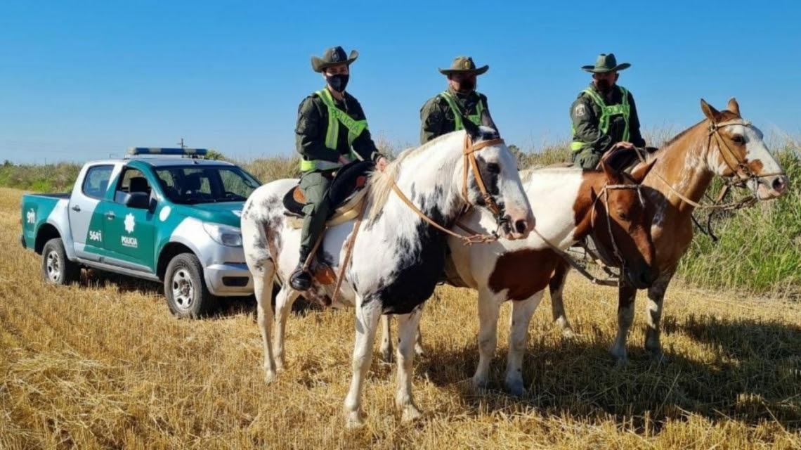 PUMAS POLICIA