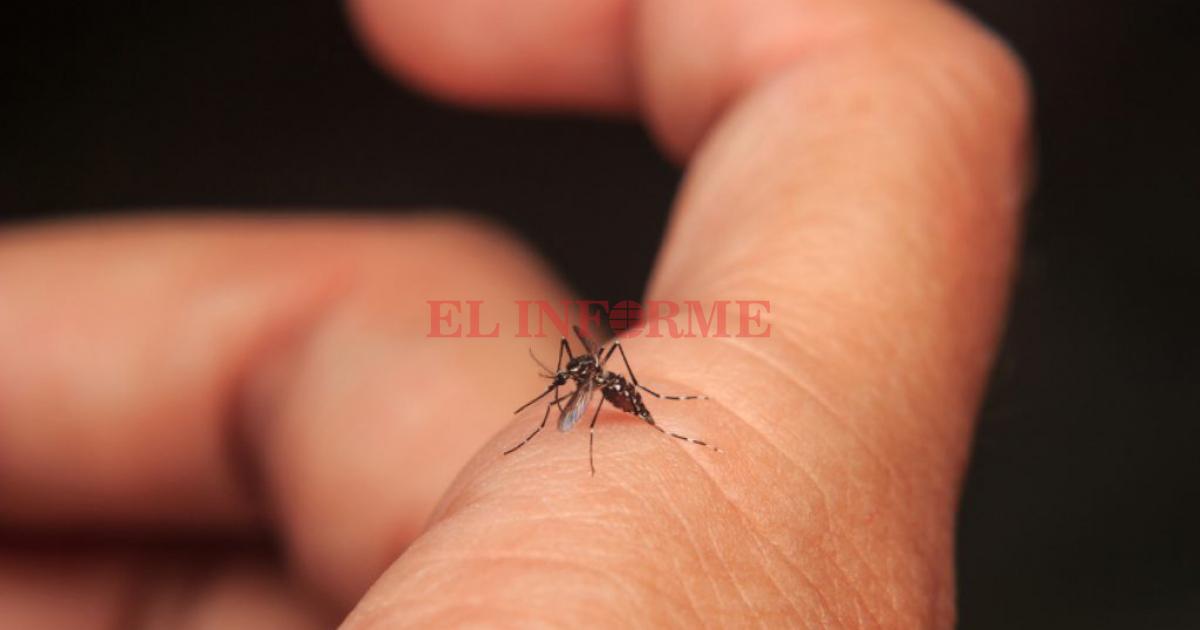 1542680418-autoridades-confirman-caso-dengue-transmision-local-miami (1)