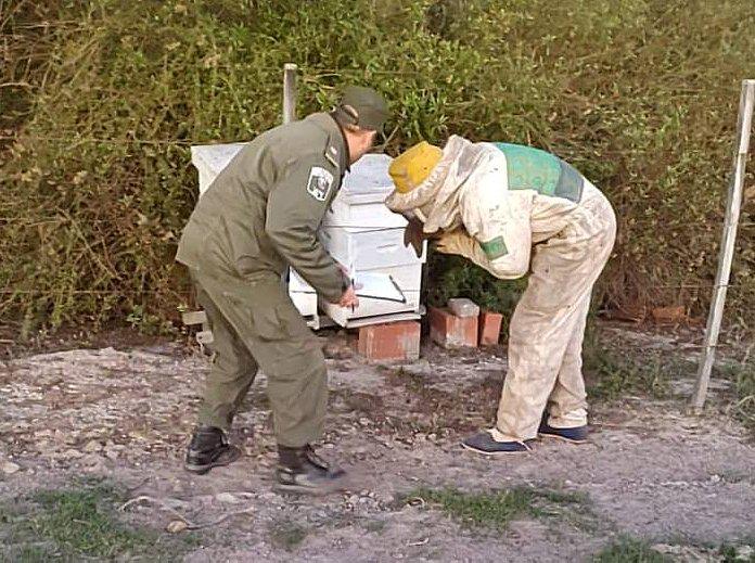 24466-guardialospumas-colme