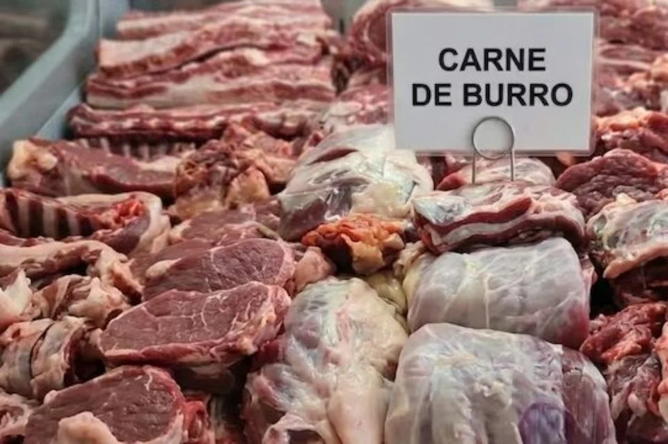 carne de burro