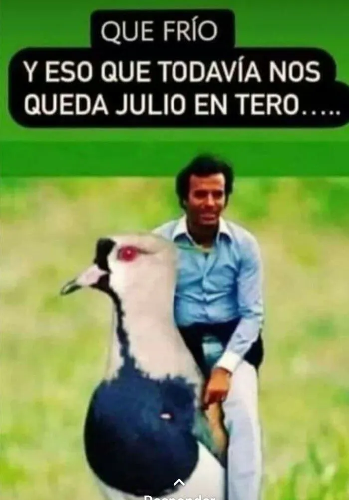 MEMES-DE-JULIO-IGLESIAS-PARA-REDES-6