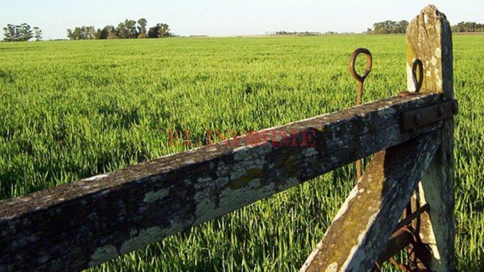 campo-678x381