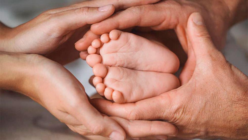 paternidad-maternidad