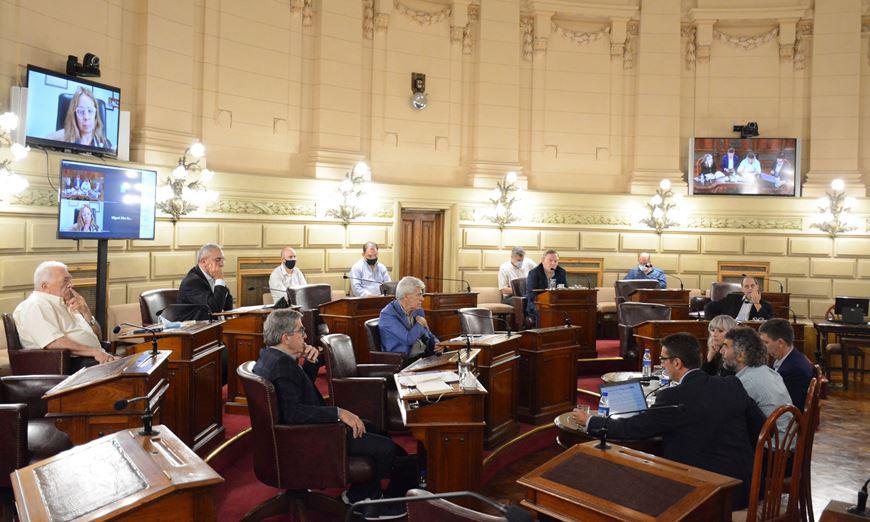 epe-senado