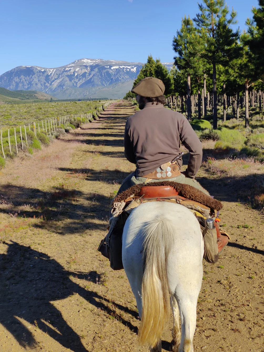 hombre a caballo