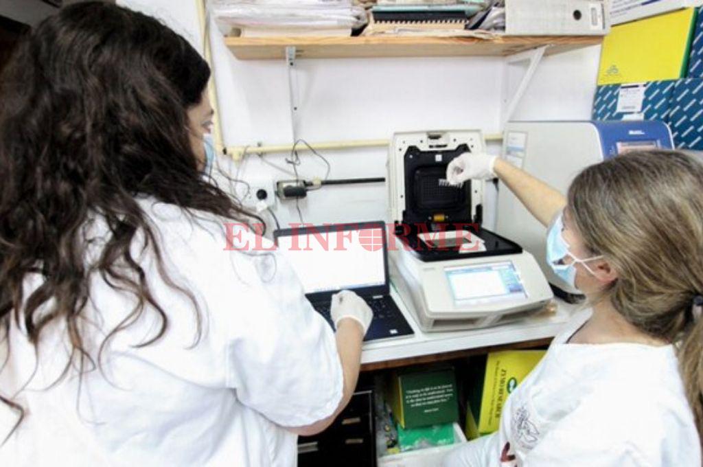 coronavirus 11