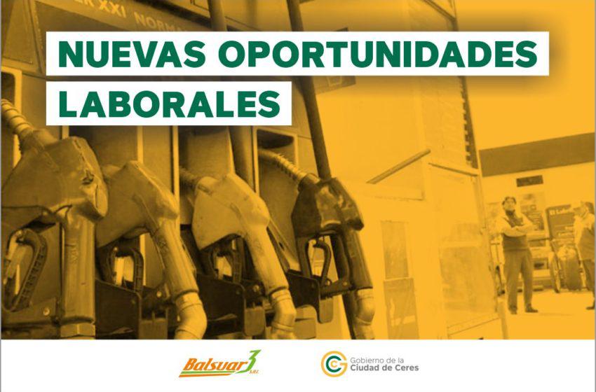 BUSQUEDA-LABORAL-web-850x560